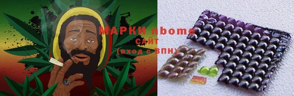бошки Алексин