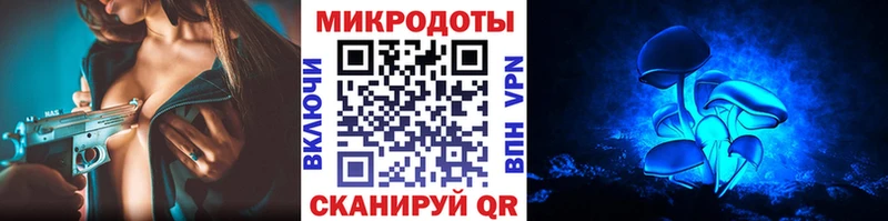 Псилоцибиновые грибы Magic Shrooms  кракен ССЫЛКА  Михайловск  что такое  