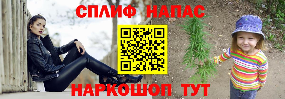 Псилоцибиновые грибы Михайловск